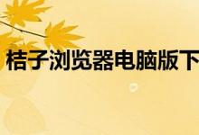 桔子浏览器电脑版下载(桔子浏览器电脑版)