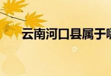 云南河口县属于哪个市（云南河口县）