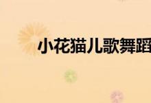小花猫儿歌舞蹈视频（小花猫儿歌）