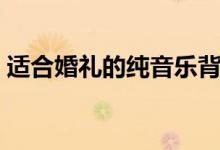 适合婚礼的纯音乐背景（适合婚礼的纯音乐）