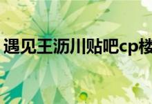 遇见王沥川贴吧cp楼莫比（遇见王沥川贴吧）