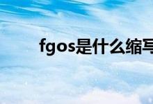 fgos是什么缩写（fgo是什么意思）