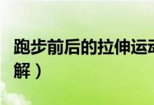 跑步前后的拉伸运动图（跳绳前后拉伸运动图解）