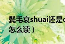 鬓毛衰shuai还是cui（乡音无改鬓毛衰的衰怎么读）