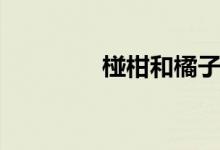 椪柑和橘子的区别（椪柑）