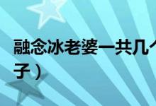 融念冰老婆一共几个成神了（融念冰有几个妻子）
