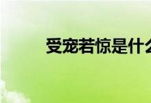 受宠若惊是什么意思（受宠若惊）