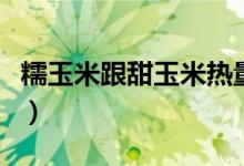 糯玉米跟甜玉米热量（糯玉米和甜玉米的热量）