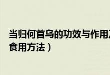 当归何首乌的功效与作用及食用方法（首乌的功效与作用及食用方法）