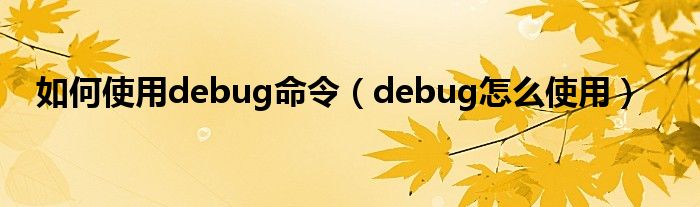 如何使用debug命令（debug怎么使用）