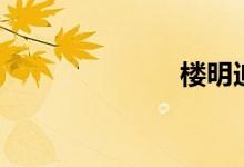 楼明迪（楼明）