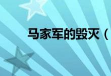 马家军的毁灭（马家军的覆灭电影）