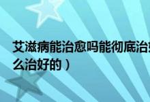 艾滋病能治愈吗能彻底治好吗（魔术师约翰逊的艾滋病是怎么治好的）