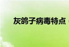 灰鸽子病毒特点（灰鸽子病毒是什么）