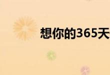 想你的365天歌词（想你歌词）