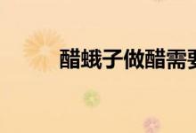 醋蛾子做醋需要密封吗（醋蛾子）