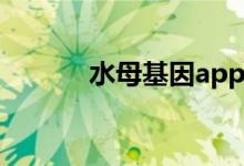 水母基因app下载（水母基因）