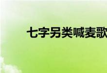 七字另类喊麦歌词（七字另类麦词）