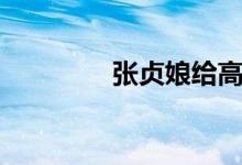 张贞娘给高衙内（张贞娘）
