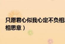 只愿君心似我心定不负相思意翻译（只愿君心似我心定不负相思意）