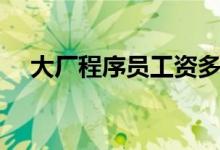 大厂程序员工资多少（程序员工资多少）