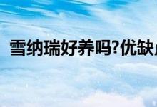 雪纳瑞好养吗?优缺点有哪些（雪纳瑞好养）