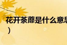花开荼蘼是什么意思啊（花开荼蘼是什么意思）