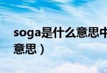 soga是什么意思中文解释啥?（soga是什么意思）