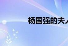 杨国强的夫人（杨国强子女）