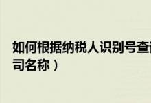如何根据纳税人识别号查询企业（通过纳税人识别号查询公司名称）