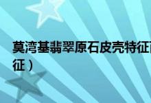 莫湾基翡翠原石皮壳特征百度百科（莫湾基翡翠原石皮壳特征）