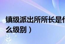 镇级派出所所长是什么级别（派出所所长是什么级别）