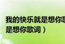 我的快乐就是想你歌词简谱歌曲(我的快乐就是想你歌词)