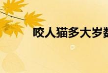 咬人猫多大岁数（咬人猫多少岁）