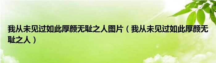 我从未见过如此厚颜无耻之人图片（我从未见过如此厚颜无耻之人）