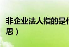 非企业法人指的是什么（非企业法人是什么意思）