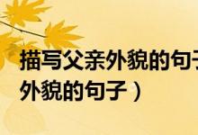 描写父亲外貌的句子200字左右（描写父亲的外貌的句子）