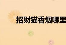 招财猫香烟哪里有卖（招财猫香烟）
