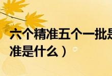 六个精准五个一批是指什么（五个一批六个精准是什么）