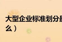 大型企业标准划分最新（大型企业的标准是什么）