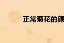 正常菊花的颜色（菊花的颜色）