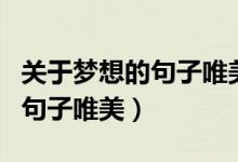 关于梦想的句子唯美开头和结尾（关于梦想的句子唯美）