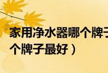 家用净水器哪个牌子的质量好（家用净水器哪个牌子最好）