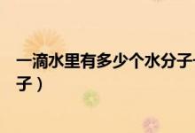一滴水里有多少个水分子一个人数（一滴水里有多少个水分子）
