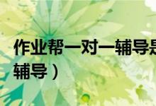 作业帮一对一辅导是不是真的（作业帮一对一辅导）