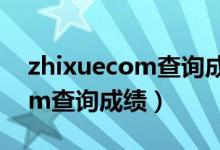 zhixuecom查询成绩2022学生（zhixuecom查询成绩）