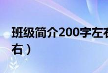 班级简介200字左右小学（班级简介200字左右）