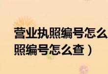 营业执照编号怎么查公章13位编码(营业执照编号怎么查)