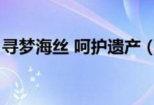 寻梦海丝 呵护遗产（寻梦海丝呵护遗产征文）
