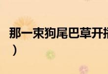 那一束狗尾巴草开播（那一束狗尾巴草完整版）
